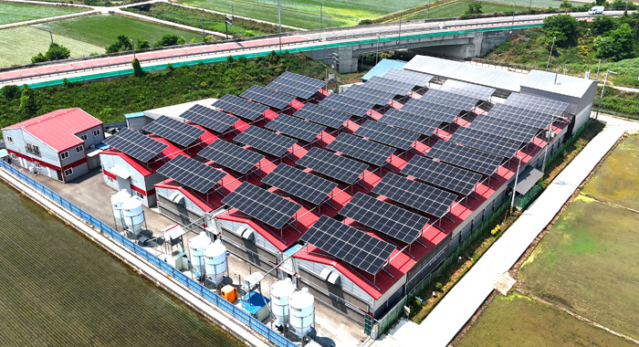 RPS 상업용 태양광 발전소1